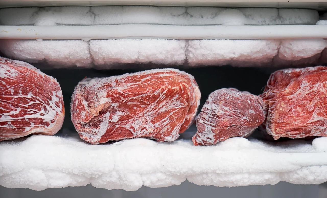 Freezing & Thawing Meat Methods To Keep Flavors | Bradley Smoker