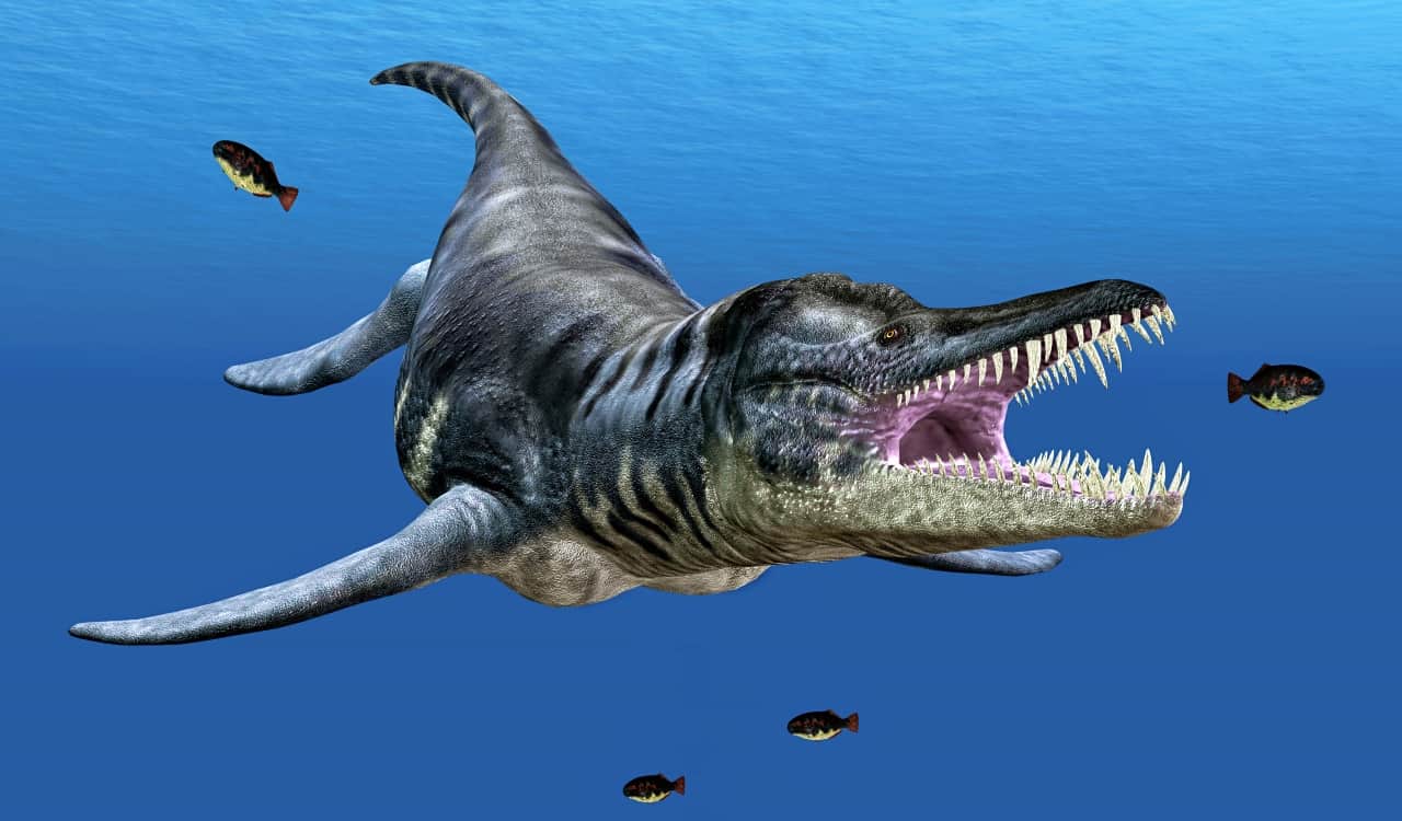 These Threatening Prehistoric Predators Would Wreak Havoc Today