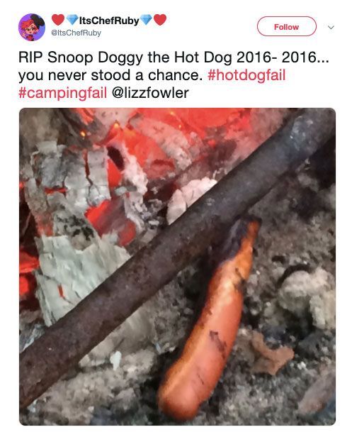 Hot Dog Lost To The Fire