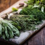 herbs-768×511