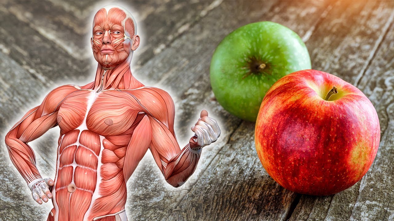 What Happens When You Eat an Apple Every Day - YouTube