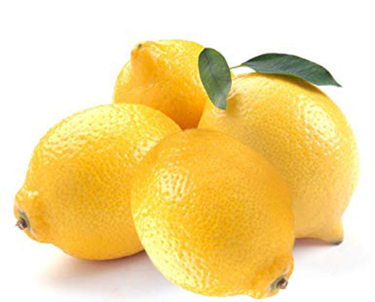Lemon,5 nos - Frecery