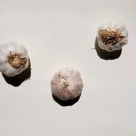 garlic-1536×1024