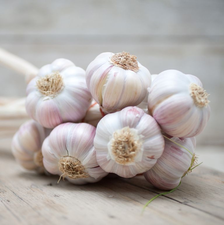 How to Store Garlic — Tips to Keep Garlic Fresh for Longer