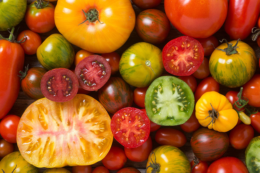 Complete Guide to Tomato Varieties and How to Use Them - Farm Flavor