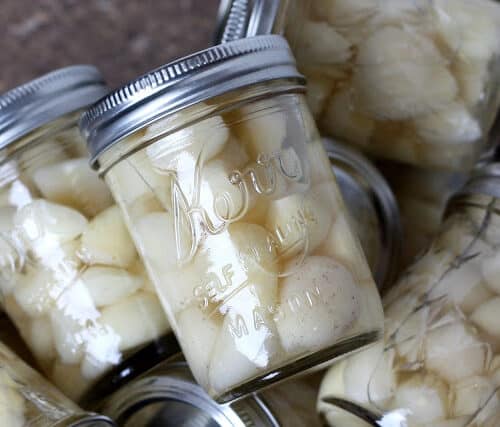 How To Preserve Garlic - Barefeet in the Kitchen