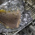 salmon1-300×200