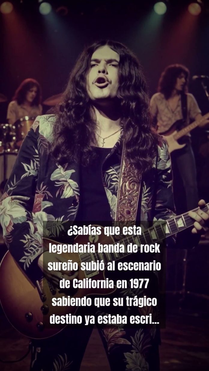 reel-36633