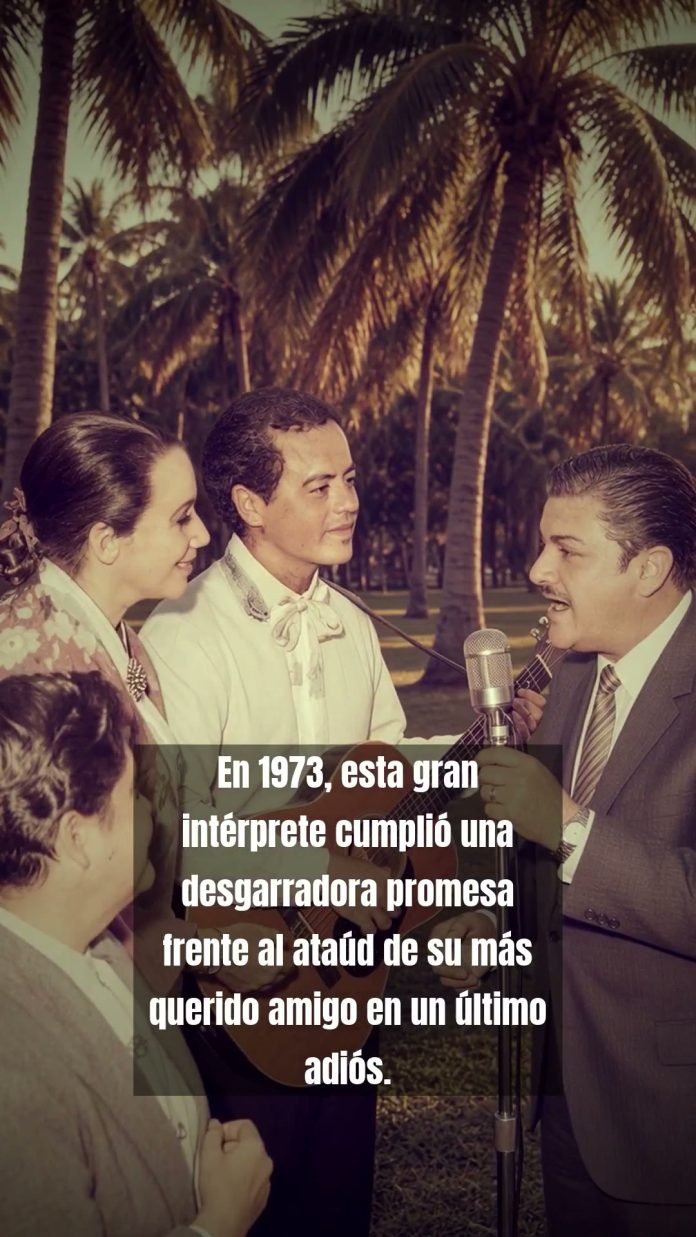 reel-38315
